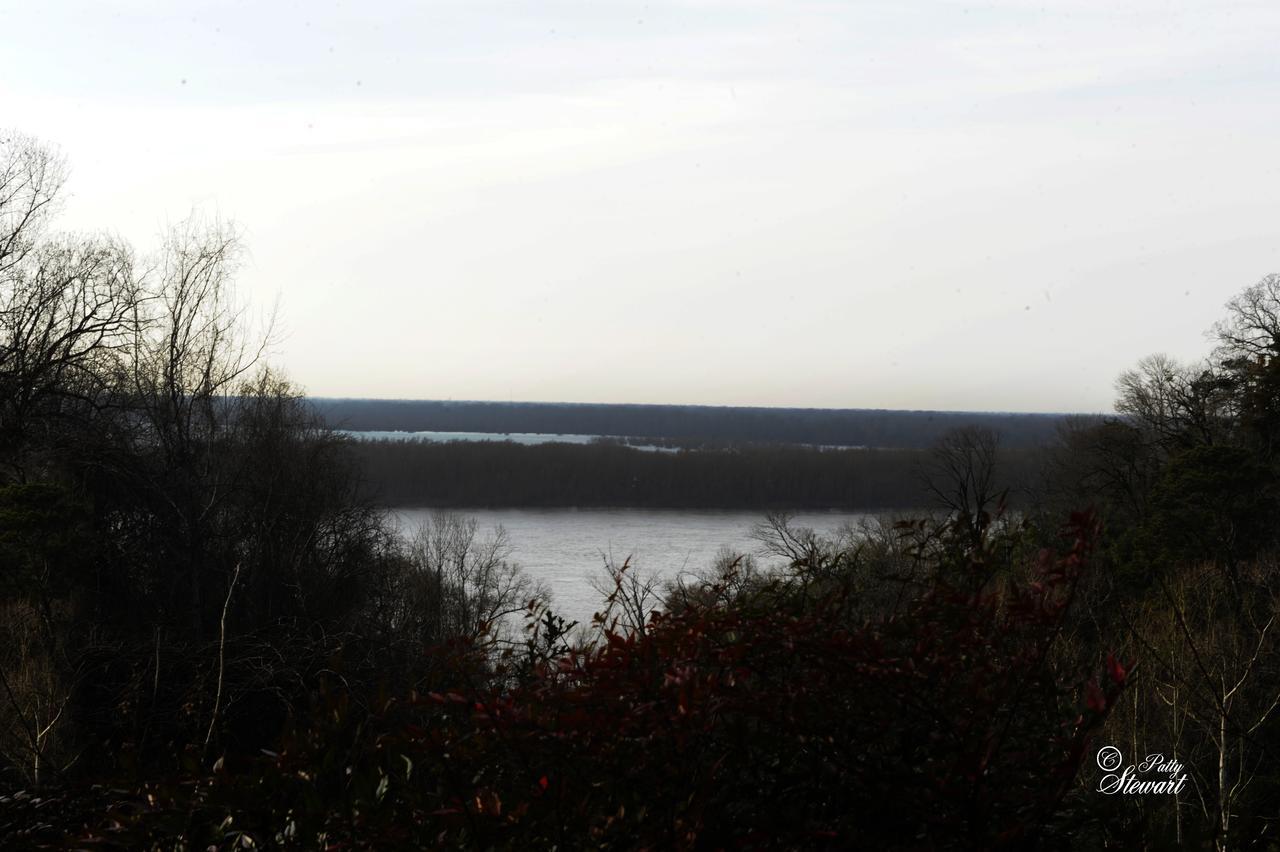 Clermont Bluffs Bed & Breakfast Натчез Экстерьер фото